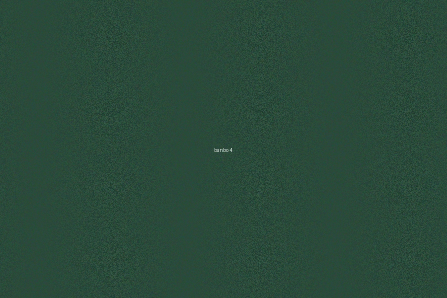 澳门六合彩半波投注策略對比分析